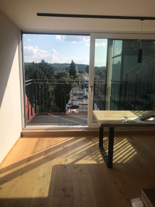 Grosszuegiges Dachterrassen-appartment Mit Klimaanlage Und Wunderbarem Ausblick * Wien